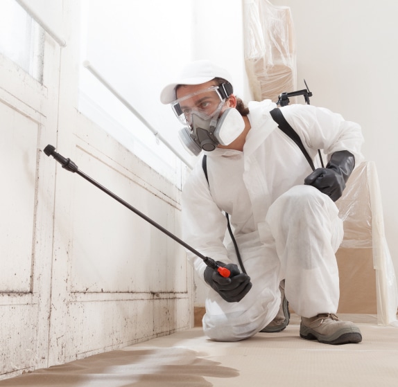 emergency mold removal services, mold removal, mold expert, mold inspector, mold testing, inspector for mold,