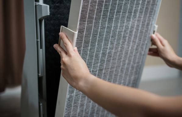 air testing, professional mold testing, mold removal, mold mitigation, mold removal, mold mitigation, mold expertise in livingston county
