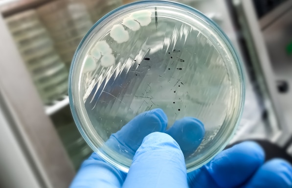 air testing, professional mold testing, mold removal, mold mitigation, mold removal, mold mitigation, mold encapsulation
