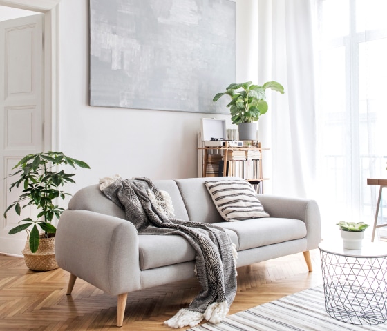 mold removal, mold removal professionals, mold in my home, midwest environmental