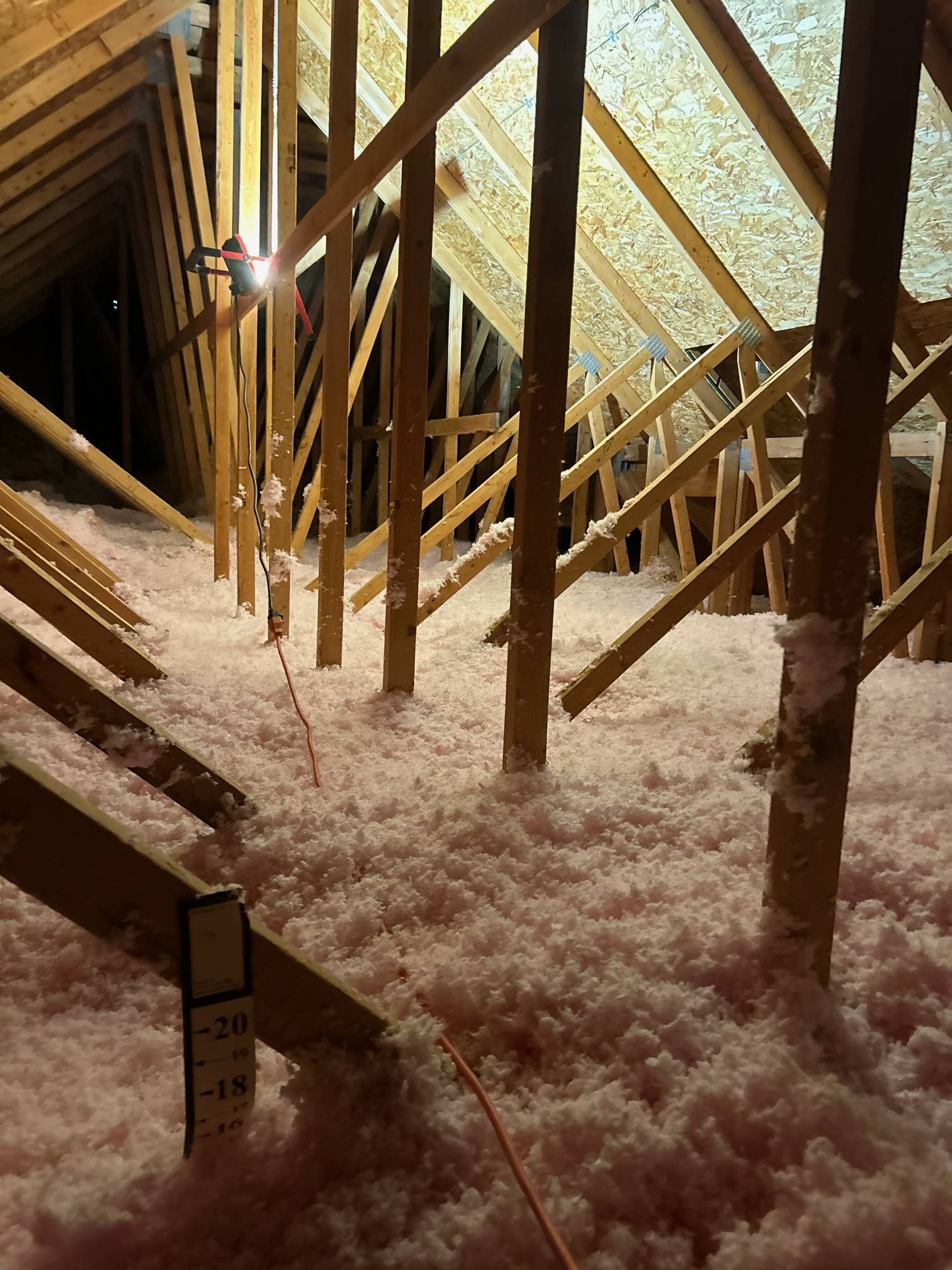 attic insulation, mold services, mold testing, mold inspector, professional mold testing