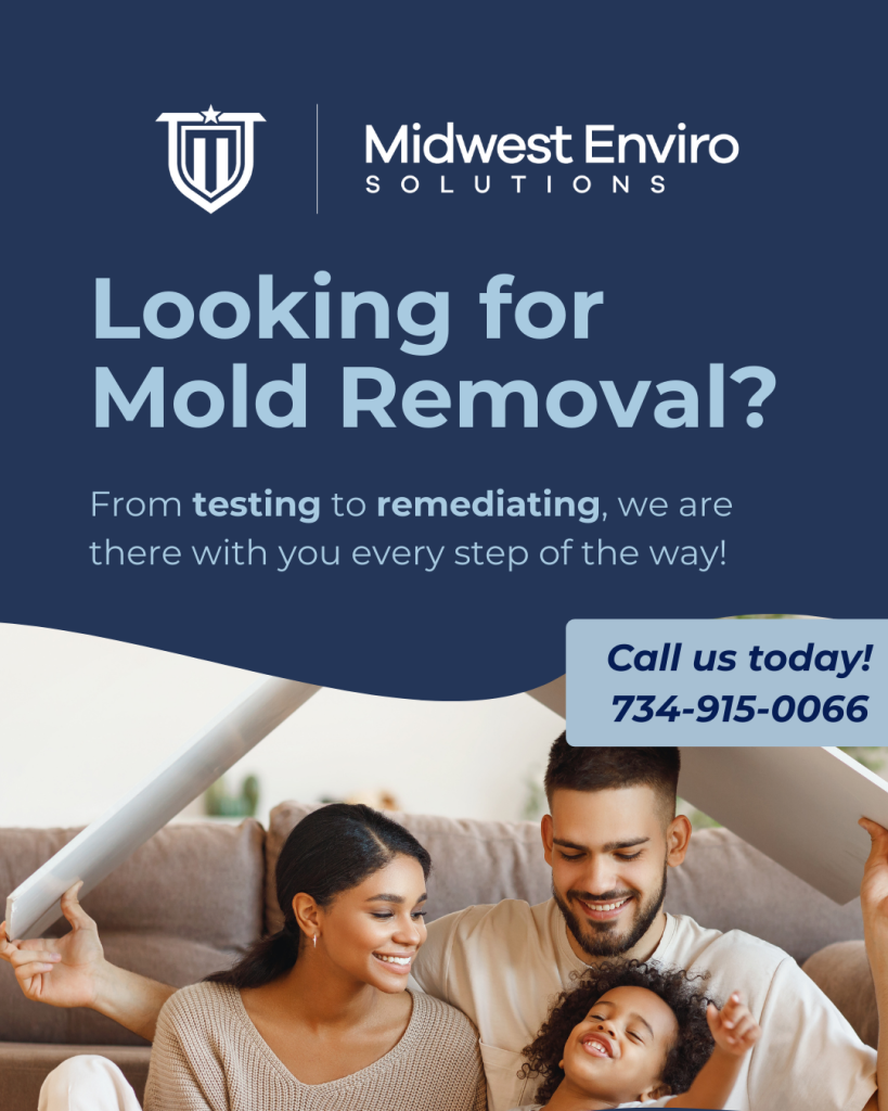 Graphic describing a mold removal service in Ann Arbor, Michigan.