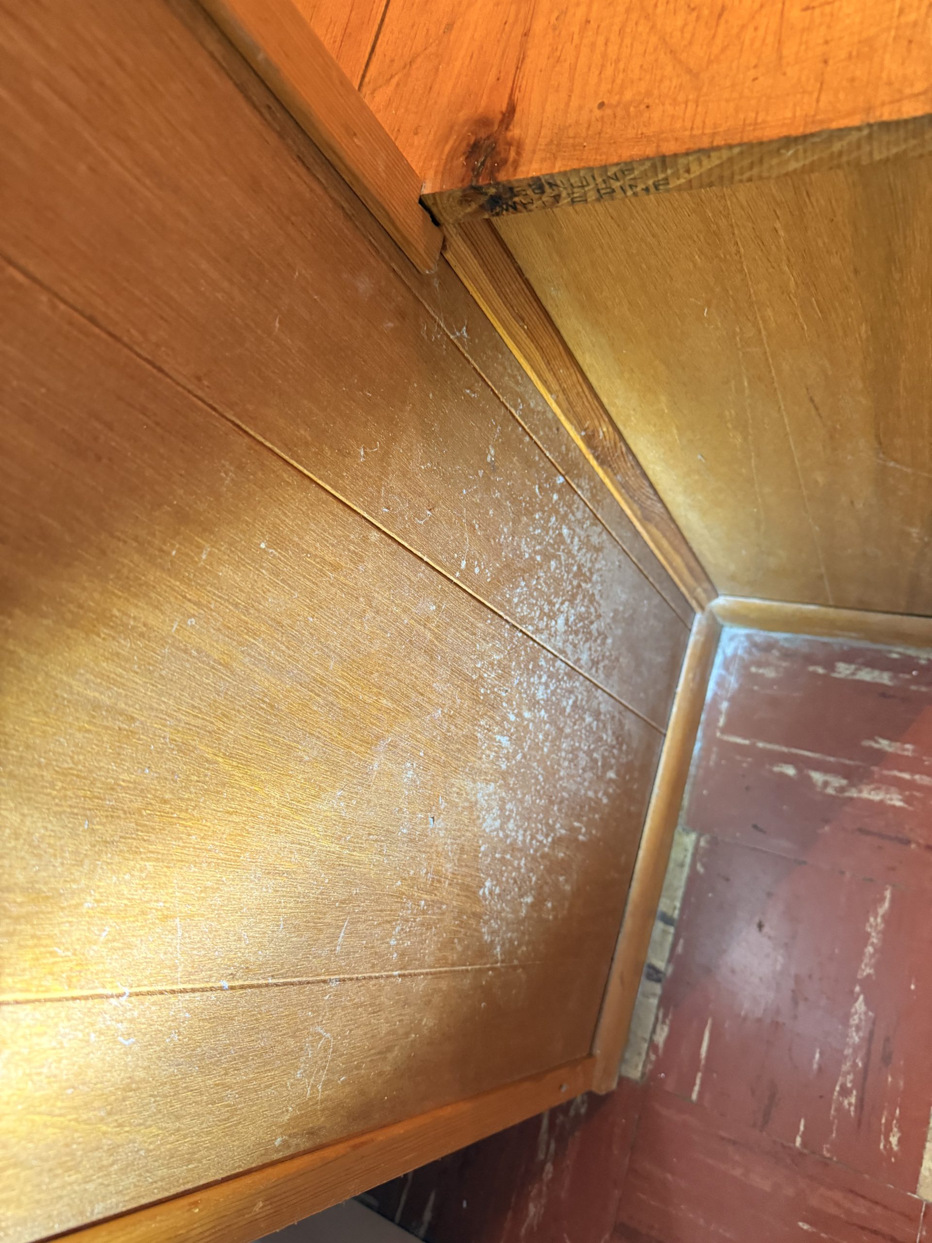 A professional mold removal team is needed to remove mold on a wood paneled surface.